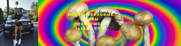2c-b Алексин