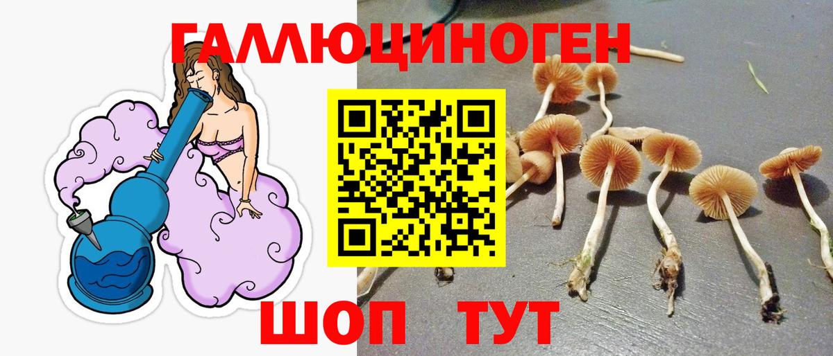 Галлюциногенные грибы MAGIC MUSHROOMS Нижний Новгород