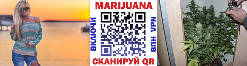купить  цена  Нижний Новгород  Бошки марихуана гибрид 